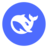 DeepSeek